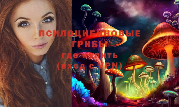 дмт Лагань