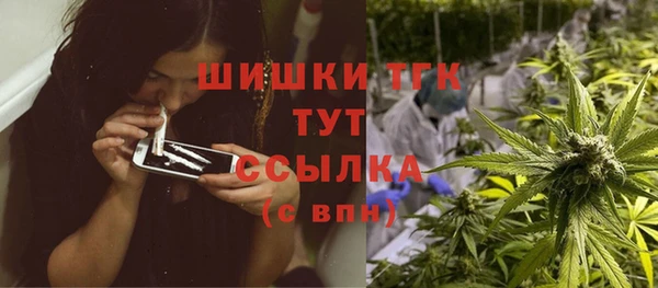 тгк Алагир