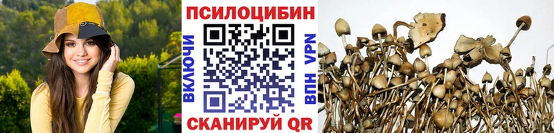 Галлюциногенные грибы Magic Shrooms  Кодинск 